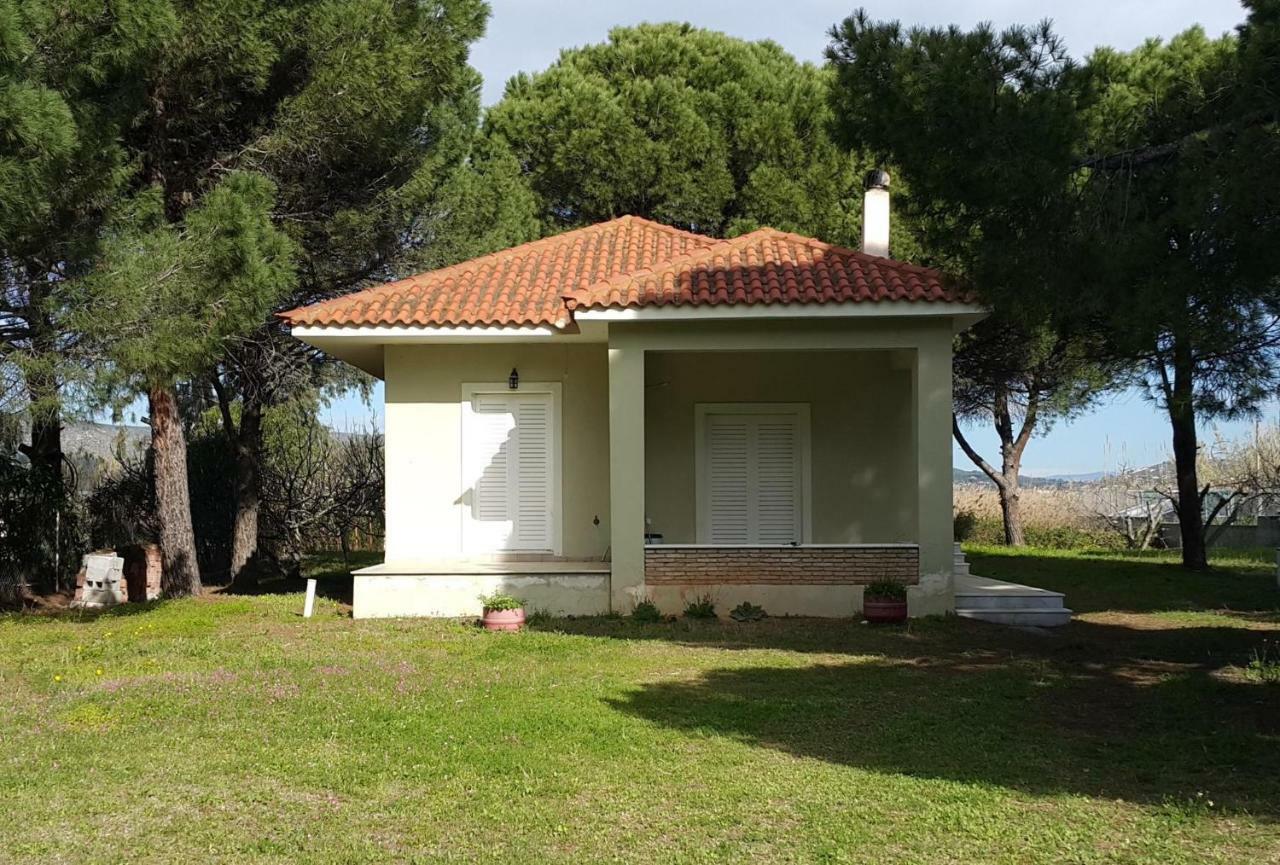 Villa Sunny Day Marathón Kültér fotó